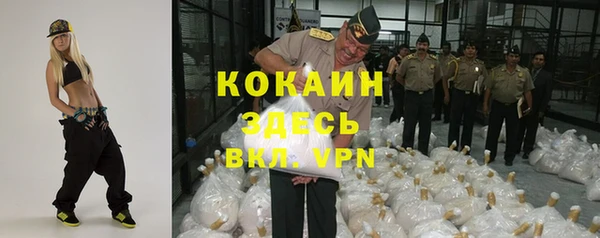 гидра Аркадак
