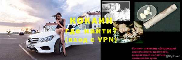 гидра Аркадак