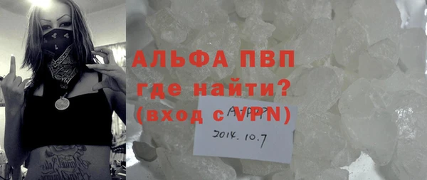 гидра Аркадак