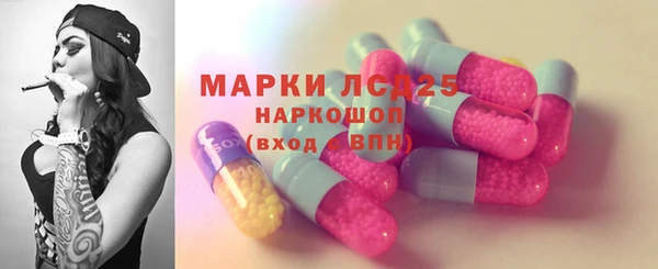гидра Аркадак