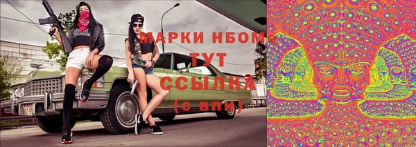 гидра Аркадак