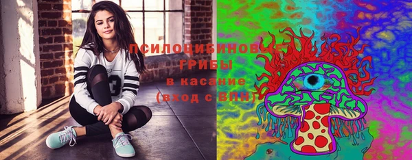 трава Армянск