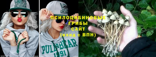 трава Армянск