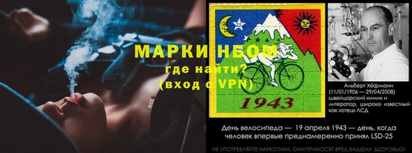гидра Аркадак