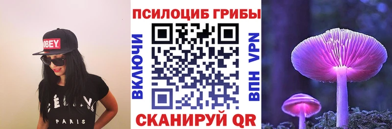 маркетплейс телеграм  Чудово  Псилоцибиновые грибы Psilocybine cubensis 